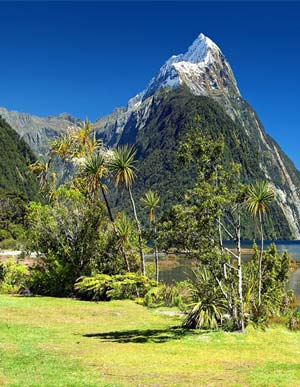 Solicitud de visa de turista para Nueva Zelanda